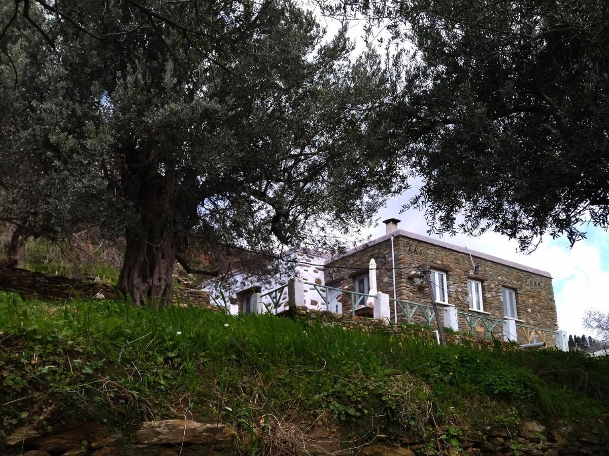 דירות Summer Sunrise Andros מראה חיצוני תמונה